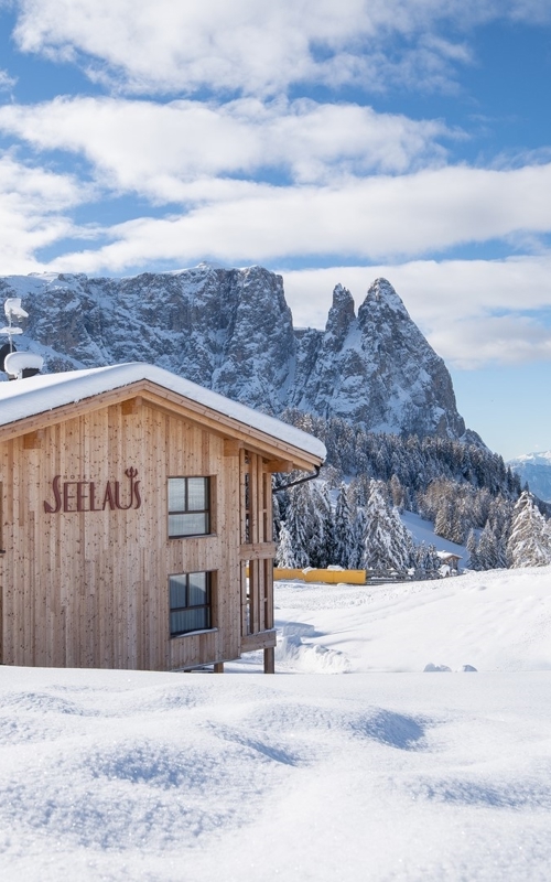 Hotel Seelaus Wooden house in snow-covered mountain landscape